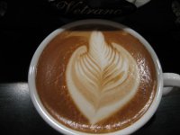 IMG_1003.jpg