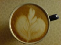 DSC00144.JPG