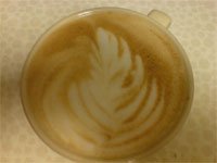 DSC00179.jpg