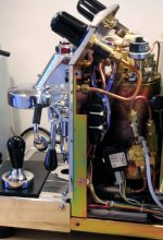 Levettan naken i profil.jpg