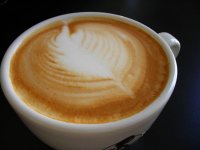 DSCN0969 25%.JPG