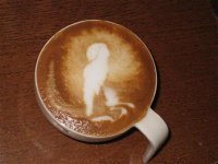 IMG_1206.jpg