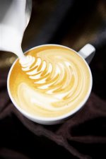 Cappu 3.JPG