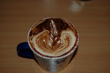 DSC_0251.jpg
