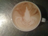 rosetta.jpg