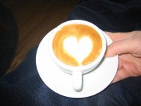 IMG_0250.jpg