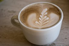 morgoncappu.jpg