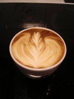 DSCN7362.jpg
