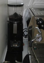 IMG_1004_cr.jpg