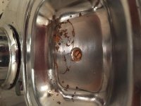 Fil 2015-06-07 10 55 31.jpg